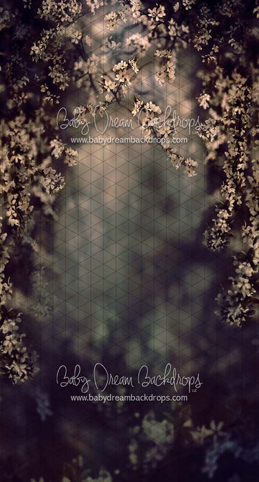 Sweeps Swept Up in Spring Moody