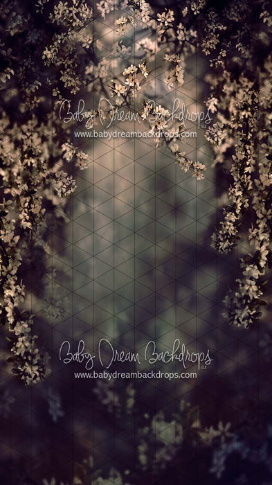 Sweeps Swept Up in Spring Moody