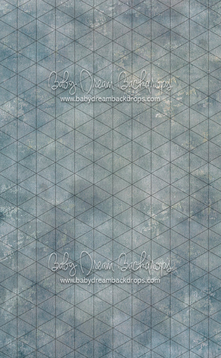 Sweeps Texture Town Chesapeake (SS)