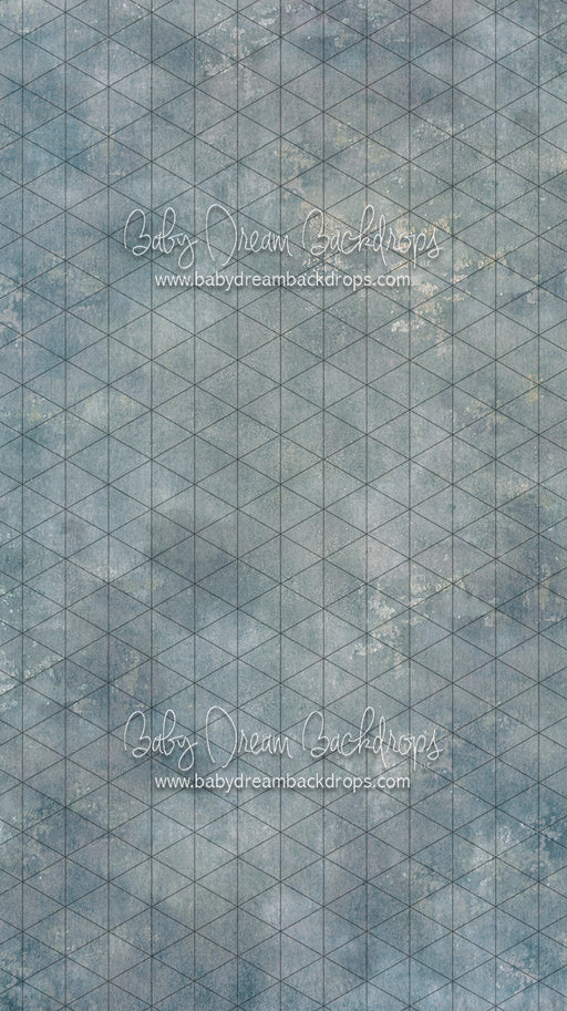 Sweeps Texture Town Chesapeake (SS)