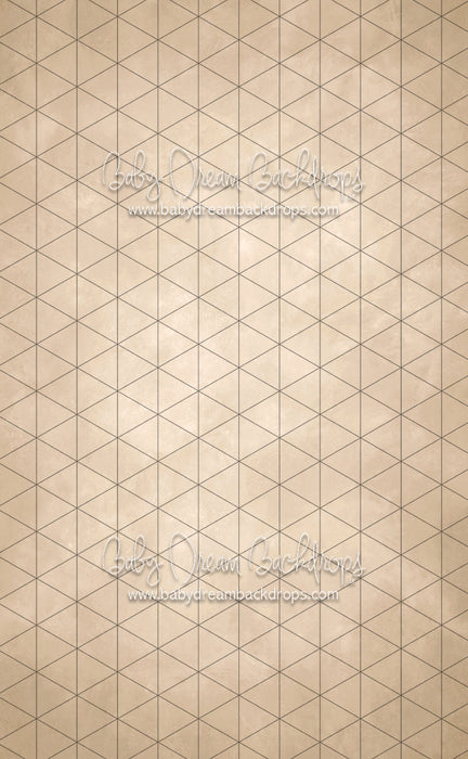 Sweeps Texture Town Lexington (SS)