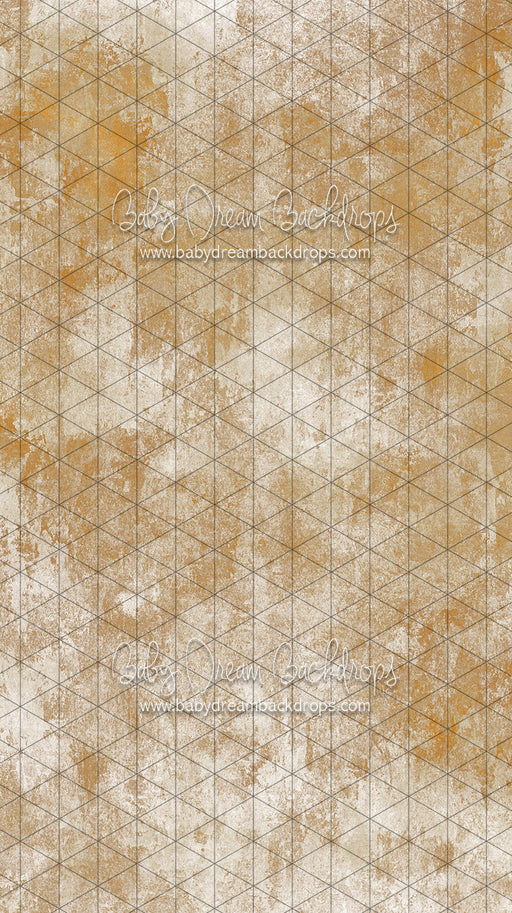 Sweeps Texture Town Reno (SS)