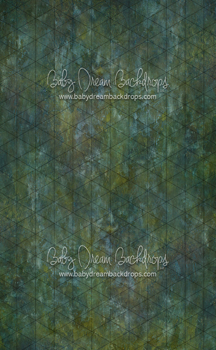 Sweeps Texture Town Seattle (SS)