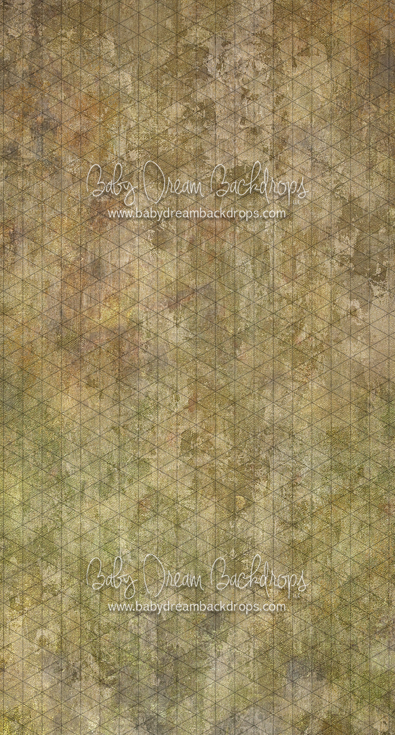 Sweeps Texture Town Wichita (SS) — Baby Dream Backdrops
