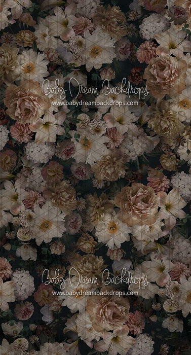 Sweeps Timeless Fantasy