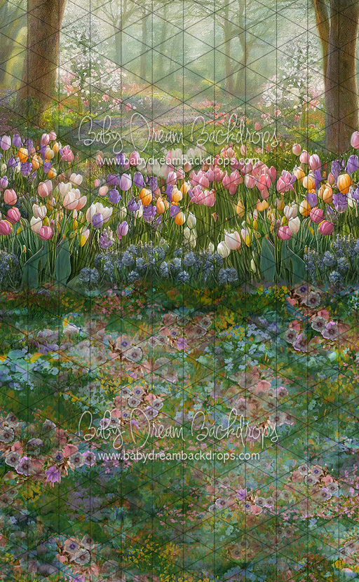 Sweeps Tulip Breeze (LL)