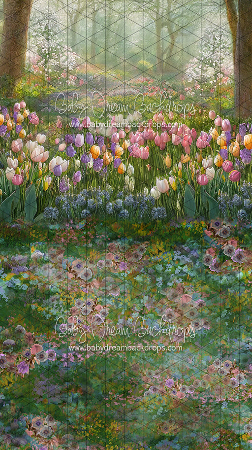 Sweeps Tulip Breeze (LL)