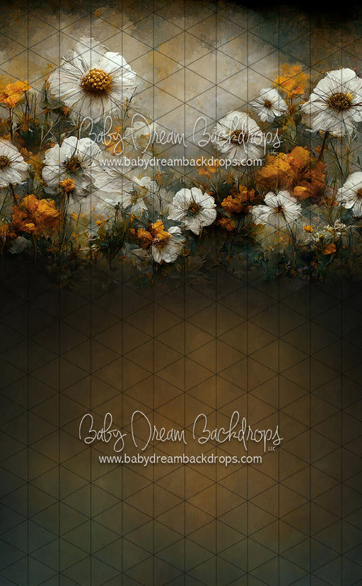 Sweeps Wishful Field (LL)