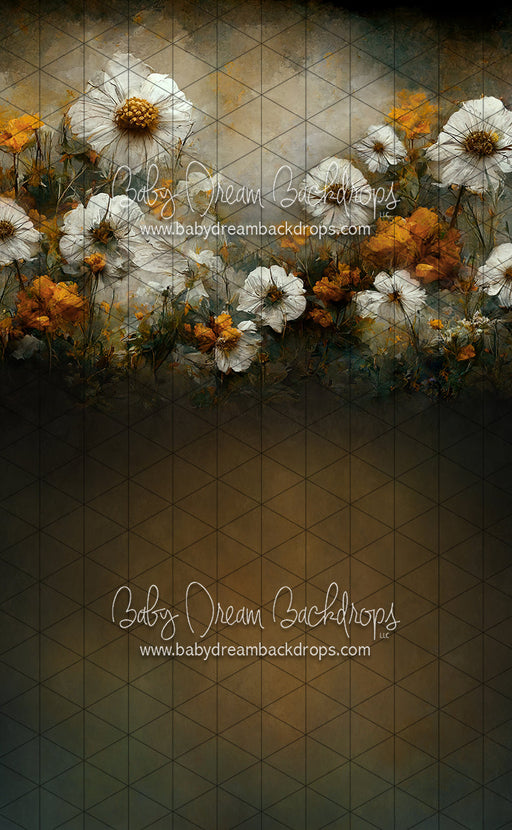 Sweeps Wishful Field (LL)