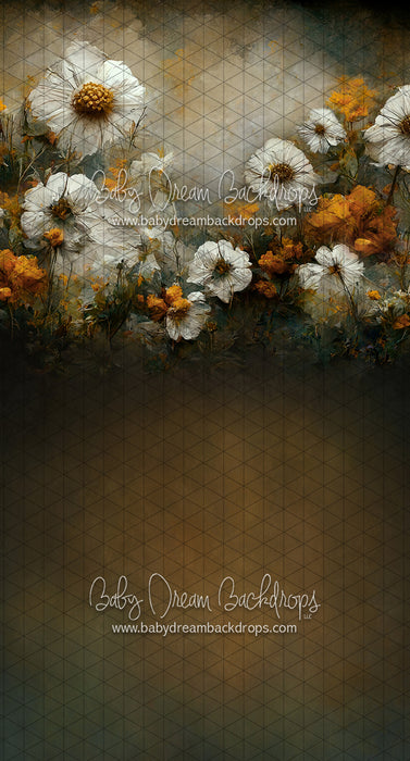 Sweeps Wishful Field (LL)