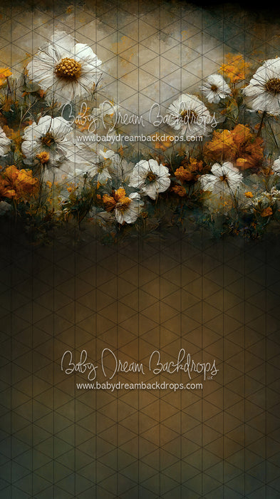 Sweeps Wishful Field (LL)