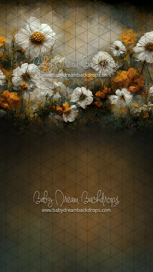 Sweeps Wishful Field (LL)