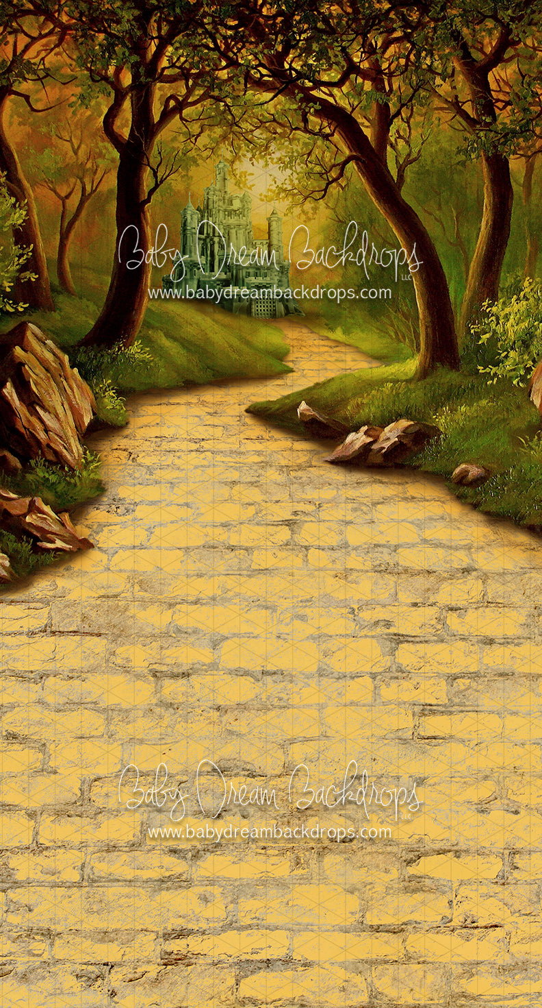 Sweeps Wonderful Wizard Path — Baby Dream Backdrops