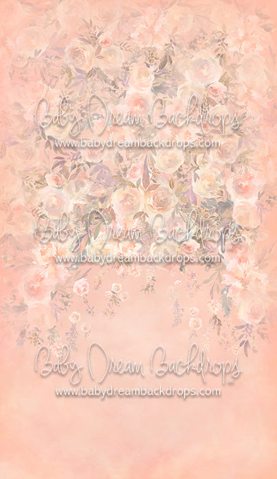 Sweeps Bianca - 8x14 - CC (Premium)