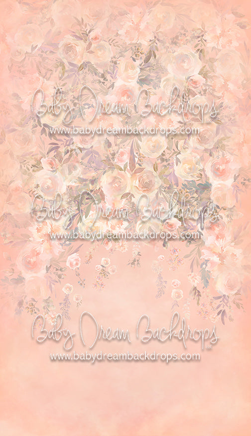 Sweeps Bianca - 8x14 - CC (Premium)