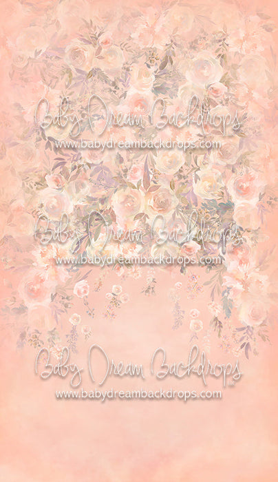 X Drop Sweeps bianca