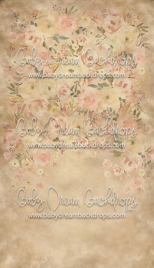 Sweeps Callie - 8x14 - CC (Premium)