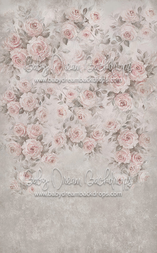 Sweeps Camille - 10x16 - CC (Premium)