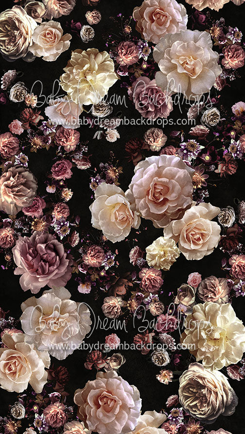 Sweeps Chanda - 8x14 - CC (Premium)