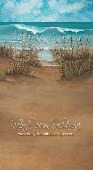 X Drop Sweeps day at the cape