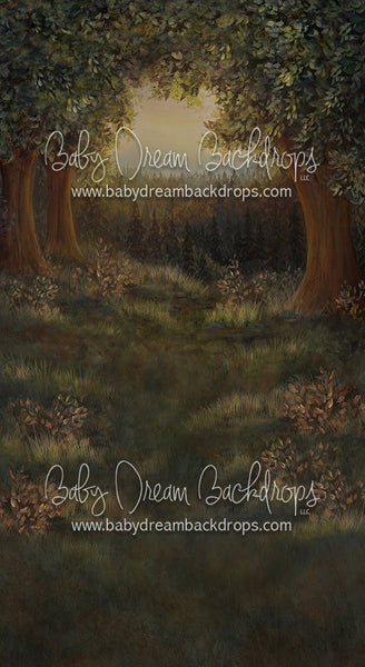 Sweeps Forest Glory - 8x14 - SS (Premium)