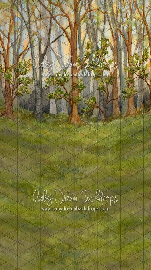 Sweeps Forest Simplicity (SS)