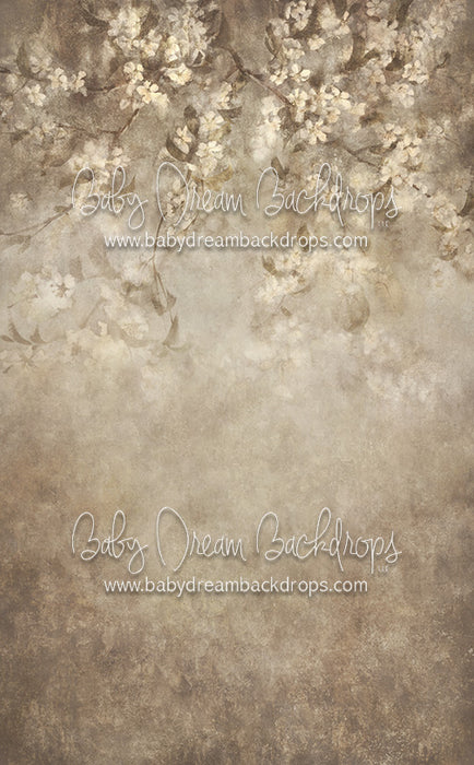 Sweeps Jenna - 10x16 - CC (Premium)