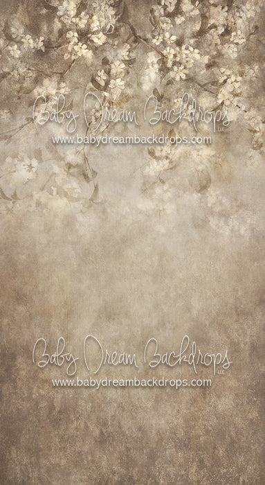 Sweeps Jenna - 8x14 - CC (Premium)