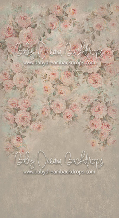 Sweeps Leah - 8x14 - CC (Premium)