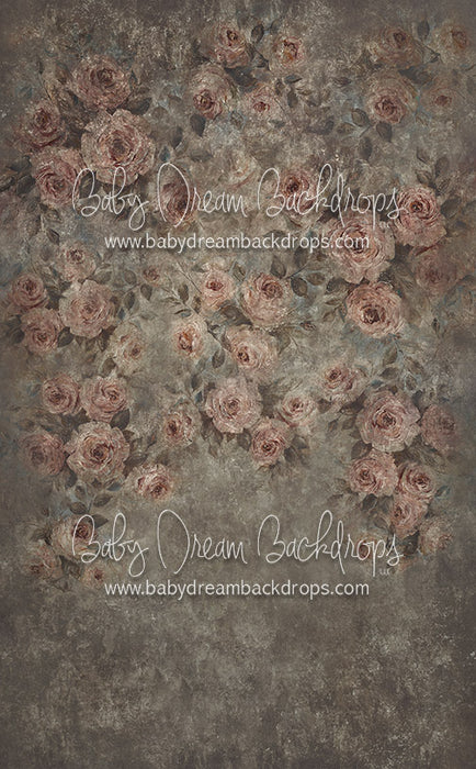 Sweeps Maria - 10x16 - CC (Premium)