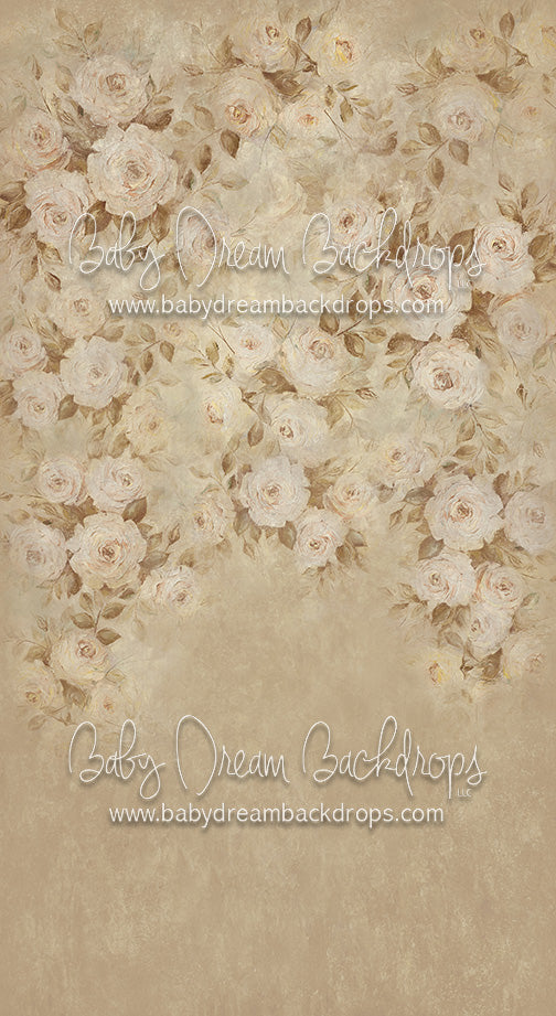 Sweeps Sarah - 8x14 - CC (Premium)