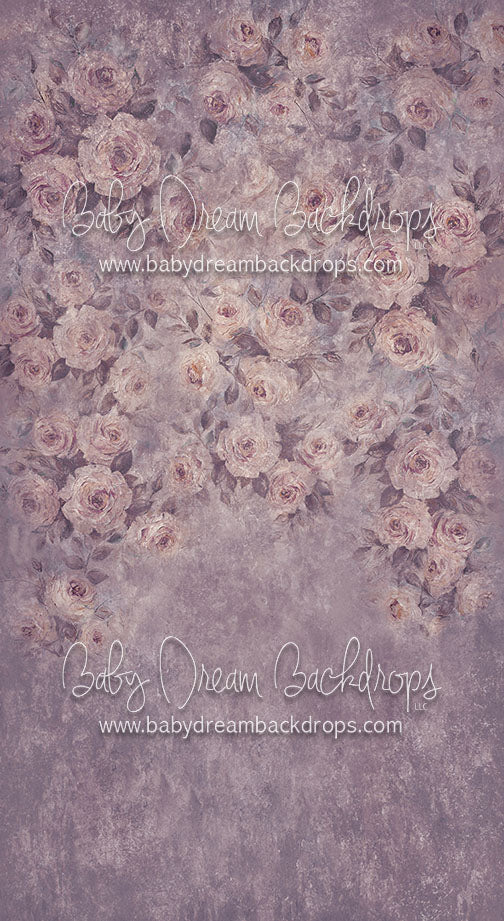 Sweeps Stephanie - 8x14 - CC (Premium)