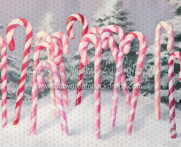 Sweet Candy Canes (LL)