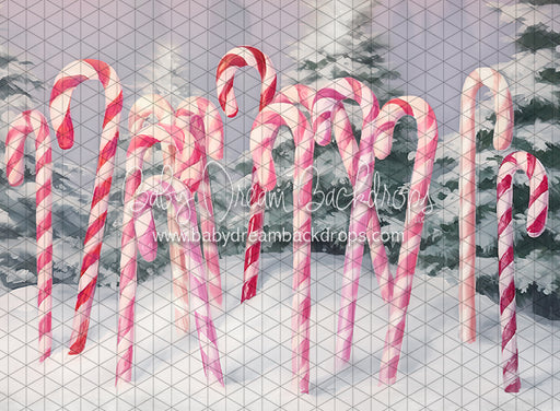 Sweet Candy Canes (LL)