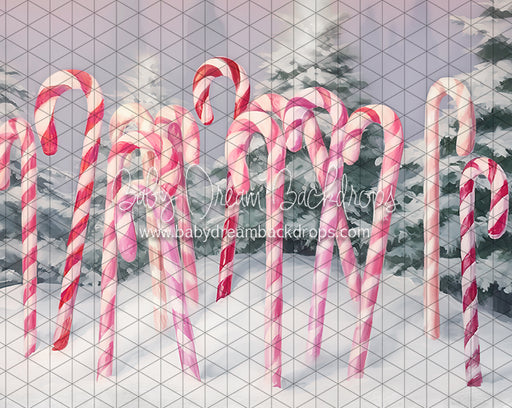 Sweet Candy Canes (LL)