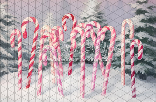 Sweet Candy Canes (LL)