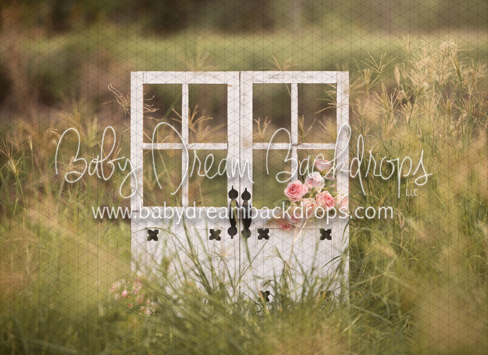 Sweet Love Outdoors (BD)