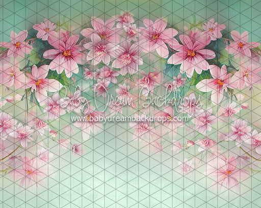 Sweet Spring (LL)