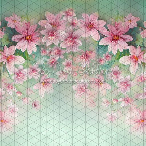 Sweet Spring (LL)