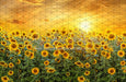 Sweet Sunflower Field (CC)