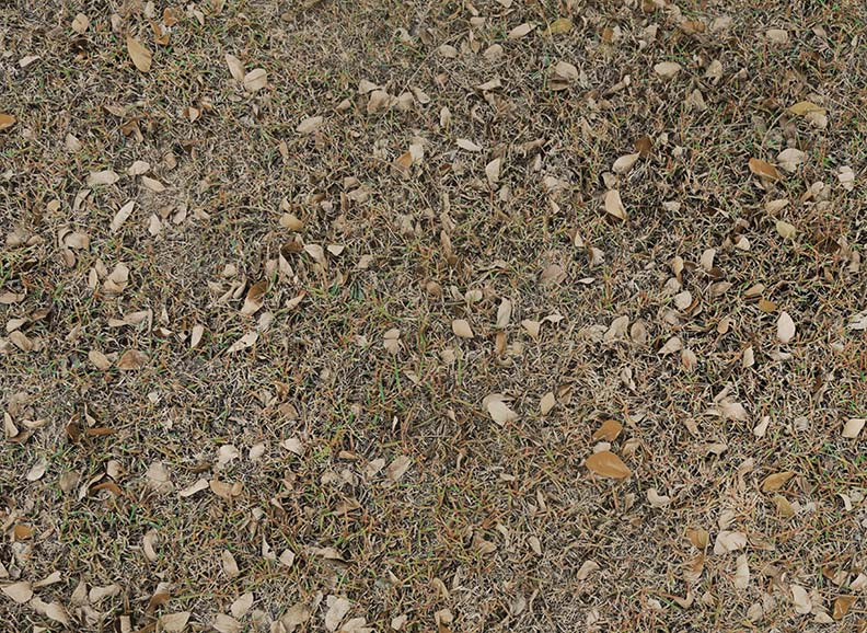 Sweet Spring Ride Grass Floor