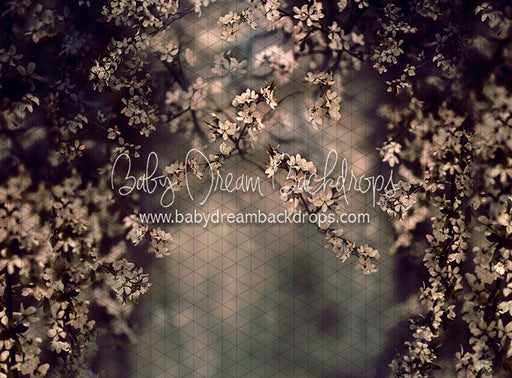 Swept Up in Spring Moody