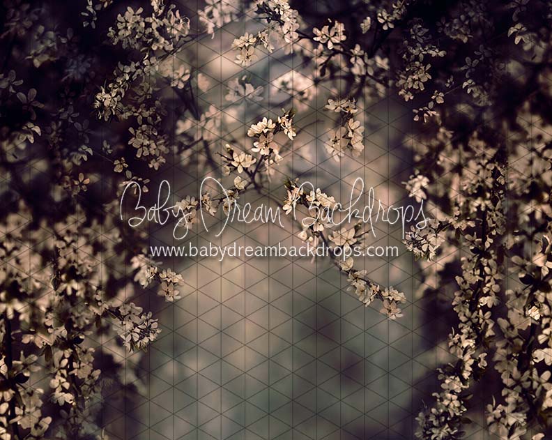 Swept Up in Spring Moody