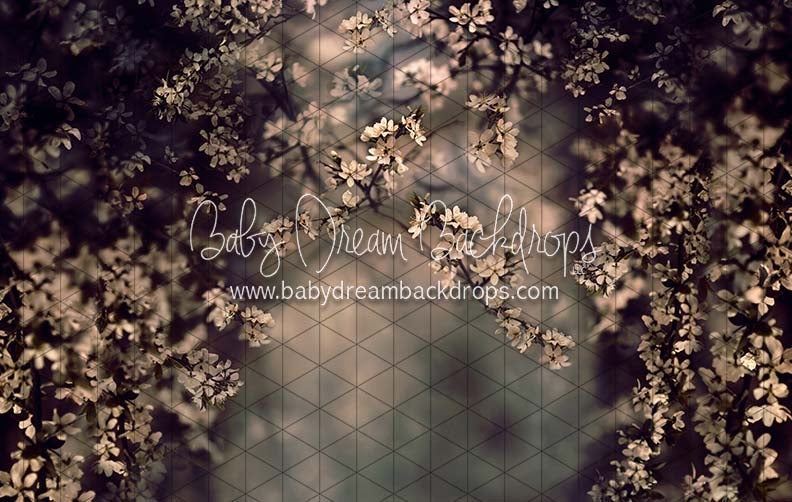 Swept Up in Spring Moody