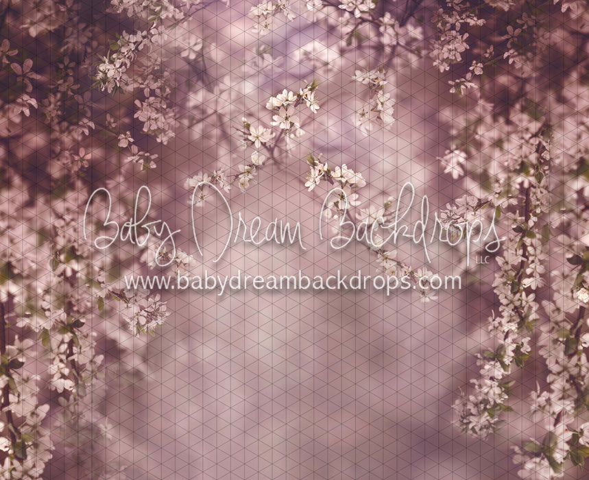 Swept Up in Spring Season