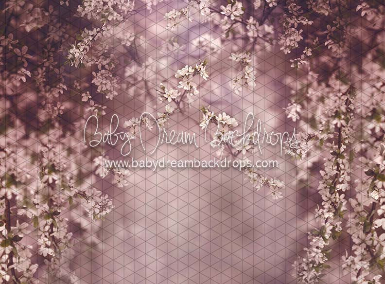 Swept Up in Spring Season