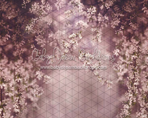 Swept Up in Spring Season