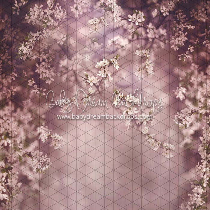 X Drop swept up in spring season