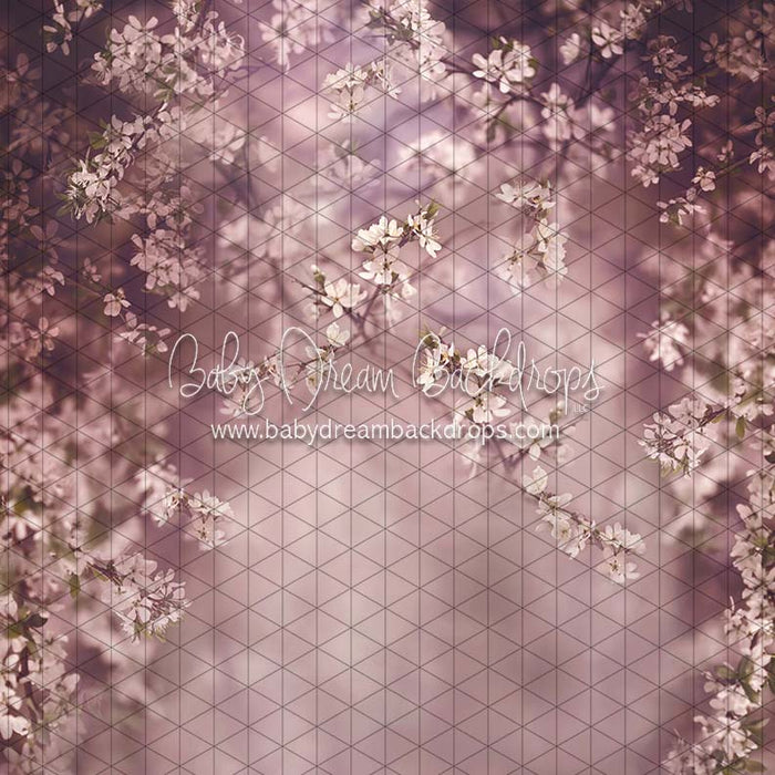 Swept Up in Spring Season