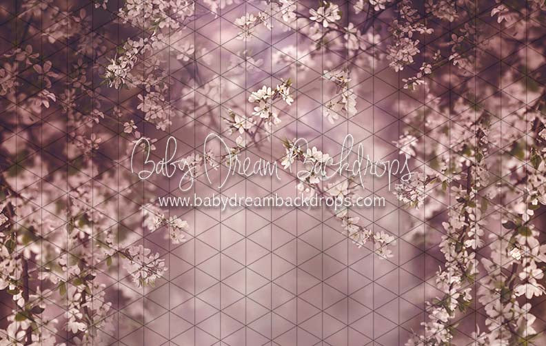 Swept Up in Spring Season